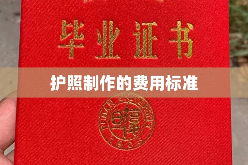 桐乡护照制作的费用标准