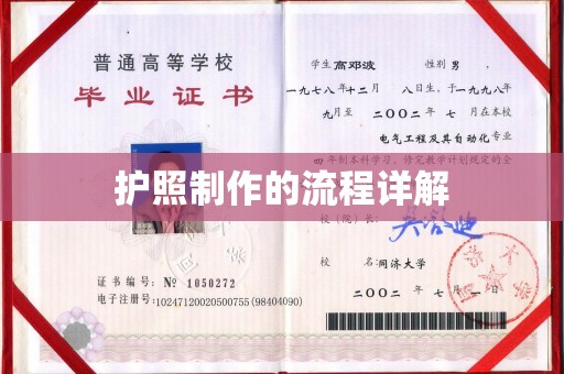 桐乡护照制作的流程详解