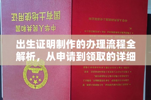 桐乡出生证明制作的办理流程全解析，从申请到领取的详细指南