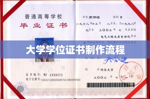 桐乡大学学位证书制作流程
